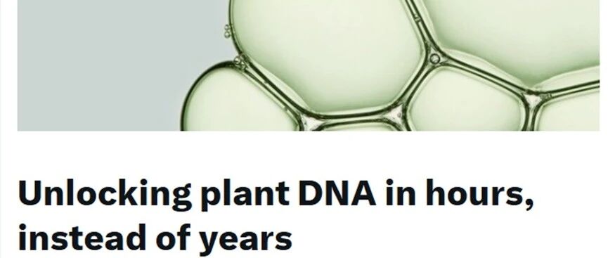 谷歌AI攻破植物DNA几十年难题，育种从数年压缩至几小时、已开源