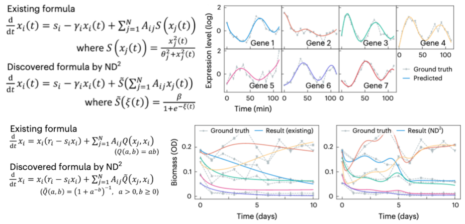 图5. 上:基因。现有公式和修正公式;节点活动与真实值吻合(不同颜色代表不同表达的基因)。下:微生物群落。现有公式和修正公式,节点活动比现有公式更符合真实值(不同颜色代表不同种群)