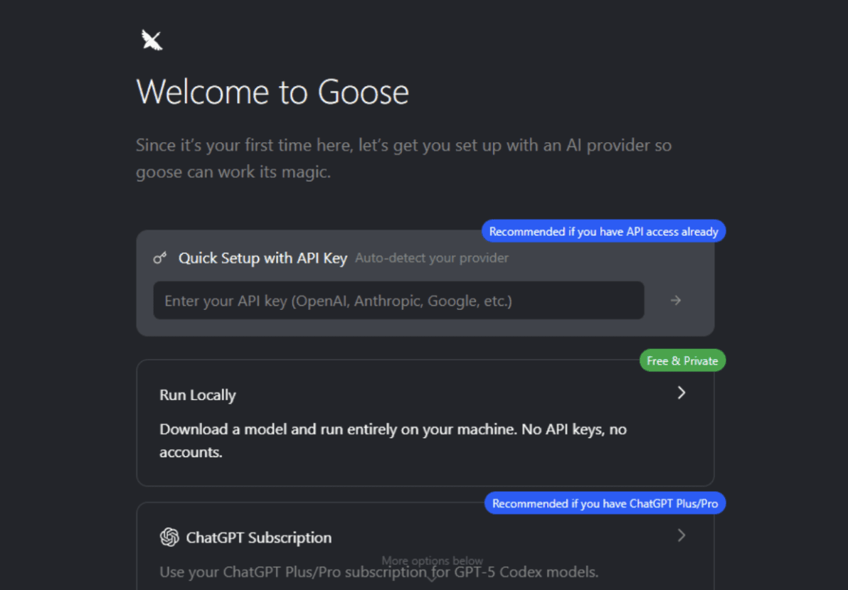 图2:Goose初始设置与配置